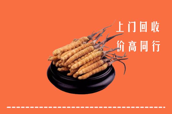 高价求购：陵水回收散虫草