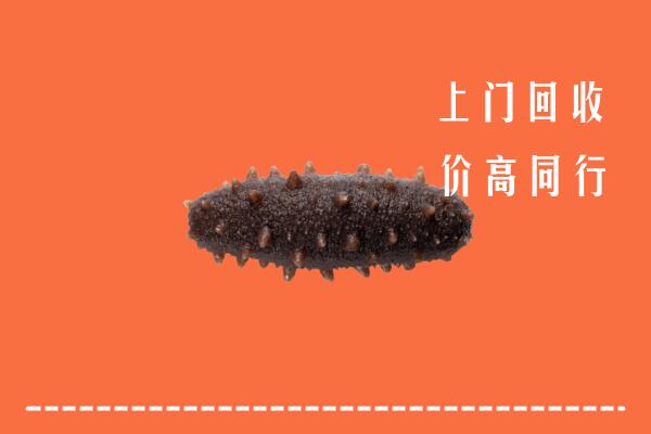 高价求购：陵水回收海参