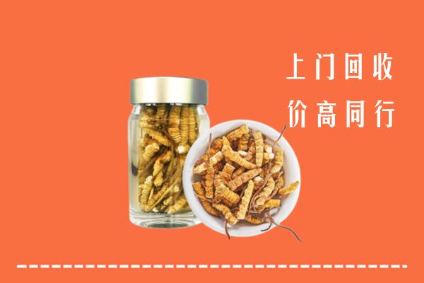 陵水回收冬虫夏草