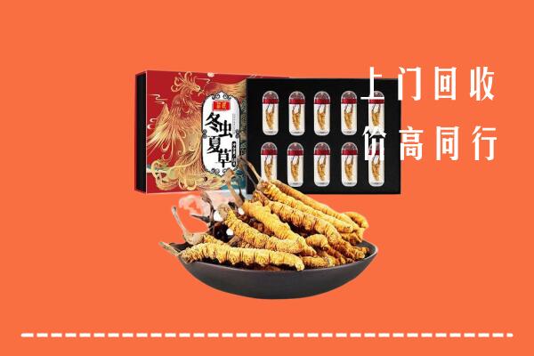 陵水回收虫草